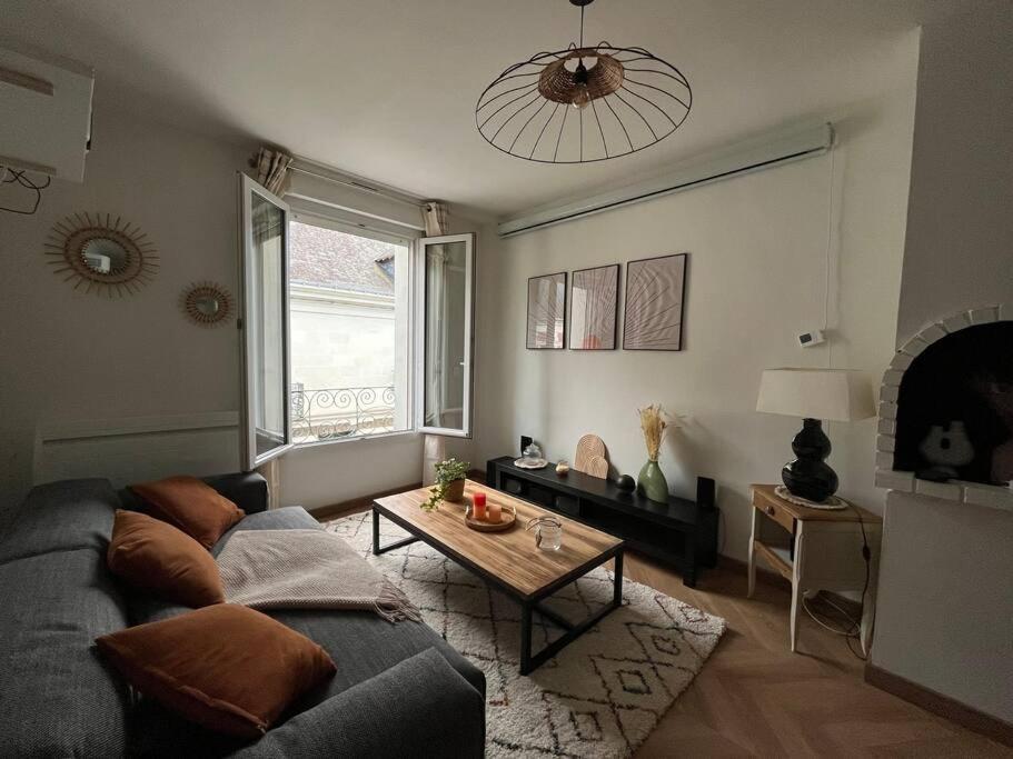 T3 Cinema - Centre Historique, Bord De Loire Apartment ตูร์ ภายนอก รูปภาพ