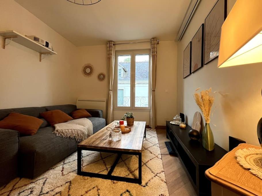 T3 Cinema - Centre Historique, Bord De Loire Apartment ตูร์ ภายนอก รูปภาพ