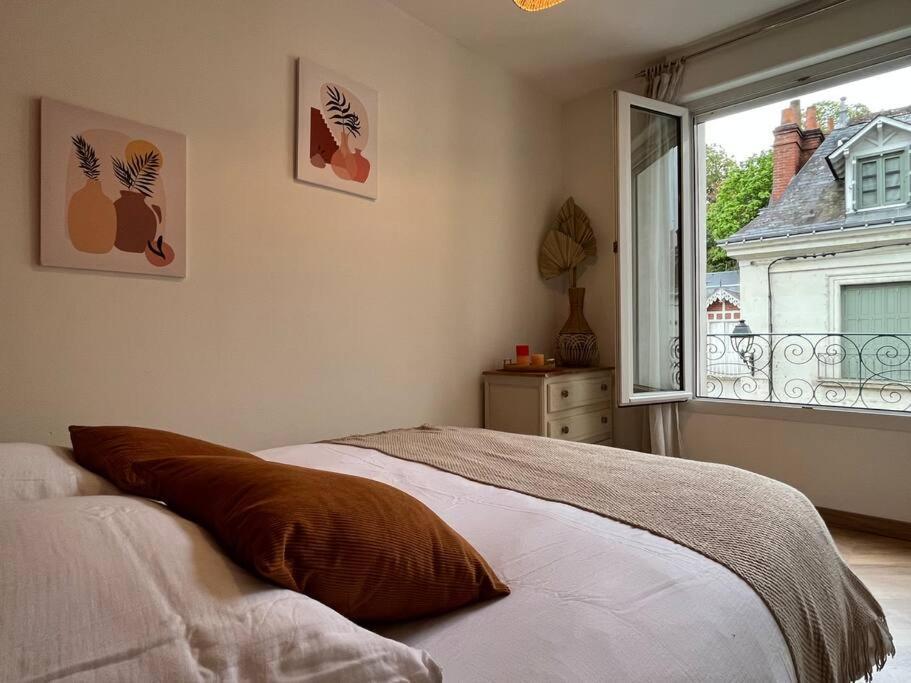 T3 Cinema - Centre Historique, Bord De Loire Apartment ตูร์ ภายนอก รูปภาพ