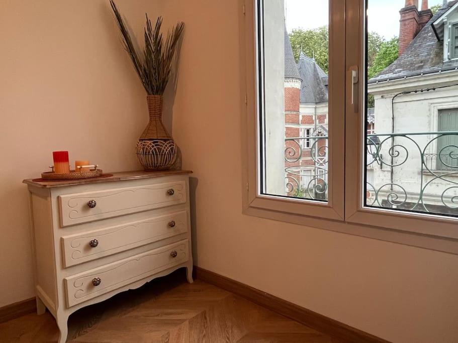 T3 Cinema - Centre Historique, Bord De Loire Apartment ตูร์ ภายนอก รูปภาพ